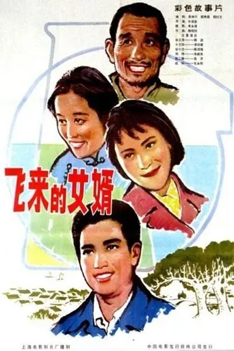 飞来的女婿 movie poster - Entertainment content