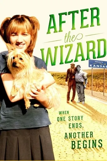 After the Wizard movie poster - Rated 4.2/10