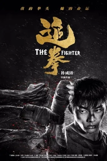 The Fighter movie poster - Entertainment content