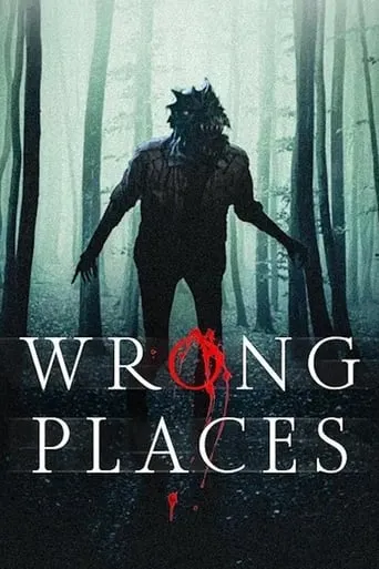 Wrong Places movie poster - Rated 3/10
