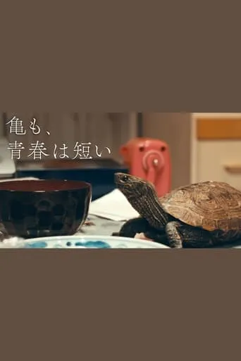 亀も、青春は短い movie poster - Rated 7/10