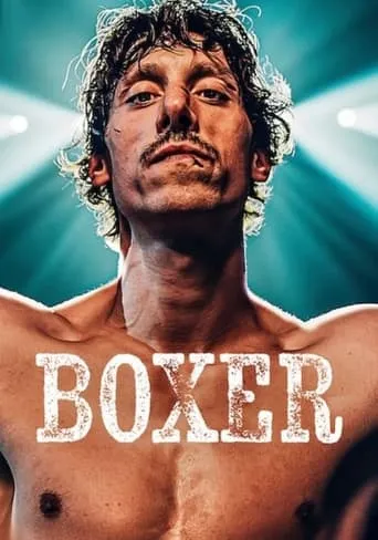 Boxer movie poster - Rated 7.1/10