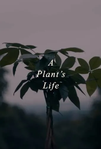 A Plant's Life movie poster - Entertainment content