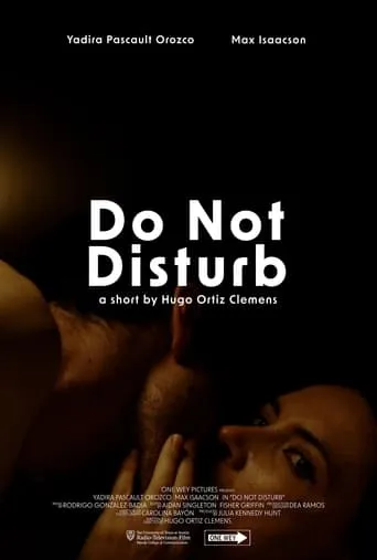 Do Not Disturb movie poster - Entertainment content