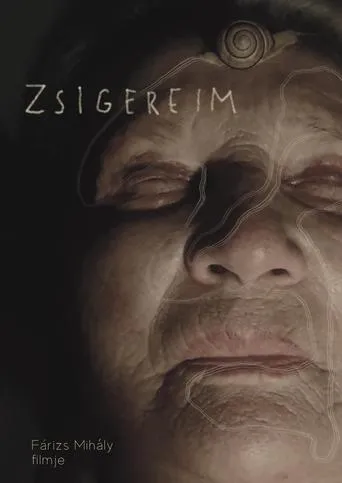 Zsigereim movie poster - Entertainment content
