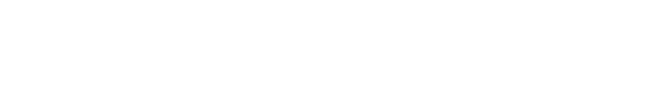 The Secret Life of Bees