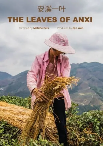 The Leaves of Anxi movie poster - Entertainment content