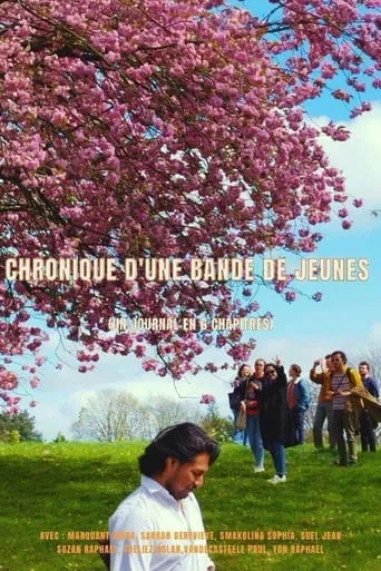 Chronique d'une bande de jeunes (un journal en 6 chapitres) movie poster - Entertainment content