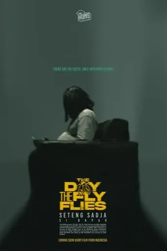 The Day The Fly Flies movie poster - Entertainment content