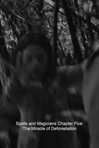 Spells and Magicians Chapter Five: The Miracle of Deforestation movie poster - Entertainment content