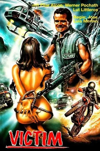 USA, violación y venganza movie poster - Rated 5.2/10