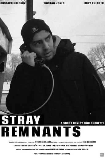 Stray Remnants movie poster - Entertainment content