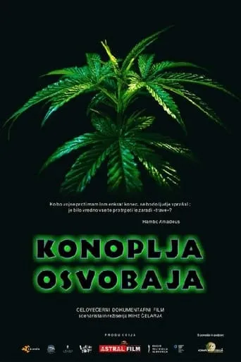 Cannabis Sets You Free movie poster - Entertainment content