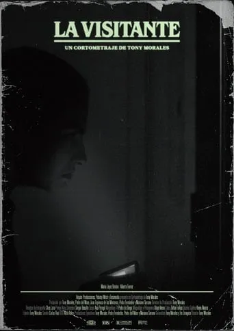 La visitante movie poster - Rated 6.5/10