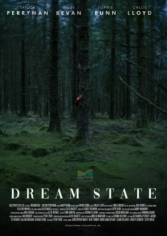 Dream State movie poster - Entertainment content