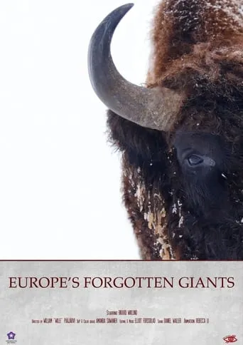 Europe's Forgotten Giants movie poster - Entertainment content