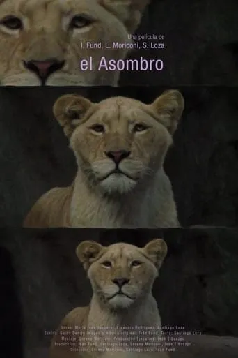 El asombro movie poster - Entertainment content