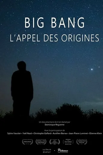 Big bang, l'appel des origines movie poster - Rated 8.5/10