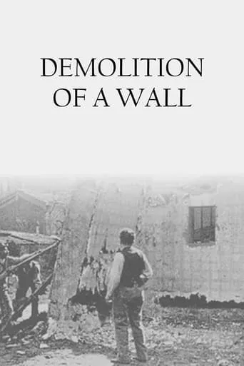 Demolition of a Wall movie poster - Rated 6.3/10