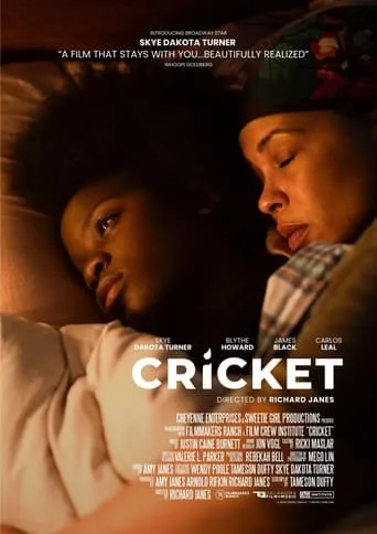 Cricket movie poster - Entertainment content