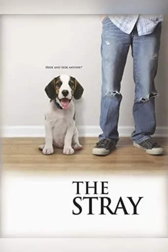 The Stray movie poster - Rated 5.7/10