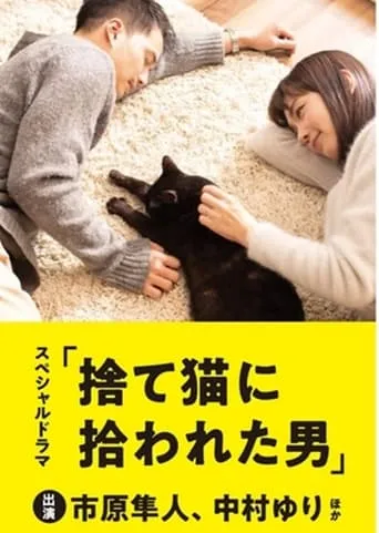 The Man Who Got Picked Up by a Stray Cat movie poster - Entertainment content