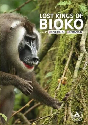 Lost Kings of Bioko movie poster - Entertainment content