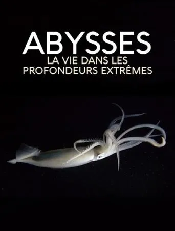 Extreme der Tiefsee - Abysses movie poster - Rated 8/10