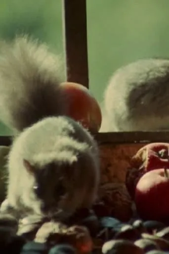 Dormouse movie poster - Entertainment content