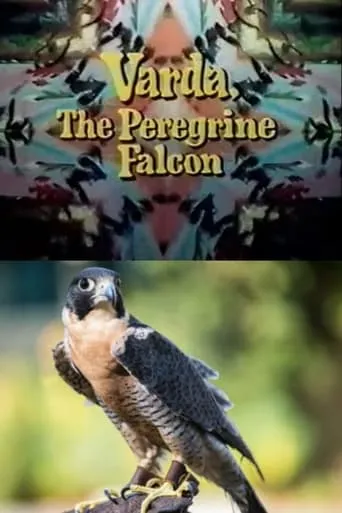 Varda, the Peregrine Falcon movie poster - Entertainment content