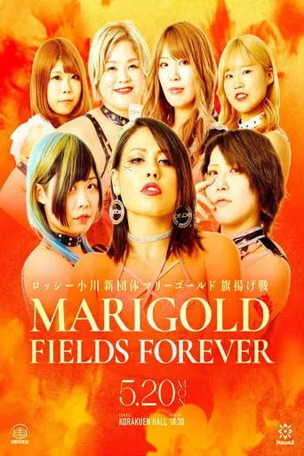 Marigold Fields Forever movie poster - Entertainment content