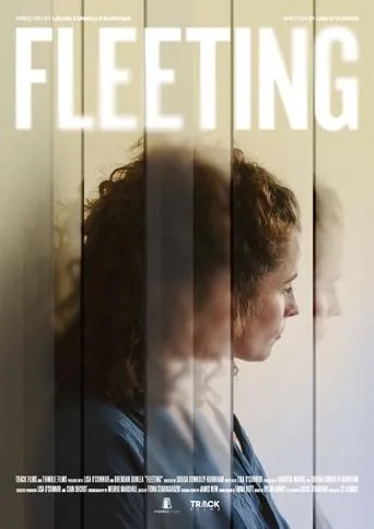 Fleeting movie poster - Entertainment content
