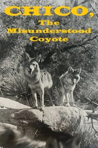 Chico, the Misunderstood Coyote movie poster - Entertainment content