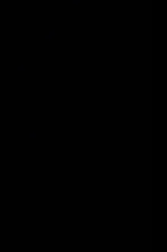 The Black Screen Film movie poster - Entertainment content