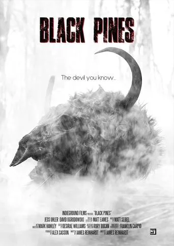 Black Pines movie poster - Entertainment content