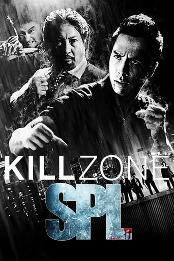 SPL: Kill Zone movie poster - Rated 6.935/10