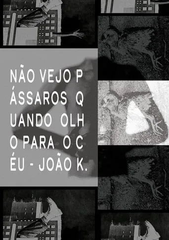 Não vejo pássaros quando olho para o céu movie poster - Entertainment content
