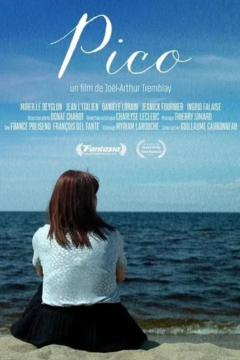 Pico movie poster - Entertainment content