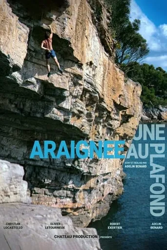 Une Araignée au Plafond movie poster - Rated 10/10