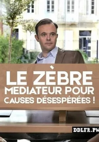 Le zèbre, médiateur pour causes désespérées ! movie poster - Entertainment content