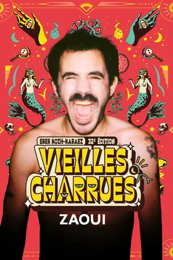 Zaoui en concert aux Vieilles Charrues 2024 movie poster - Entertainment content
