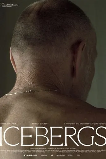 Icebergs movie poster - Entertainment content