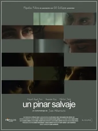 Un pinar salvaje movie poster - Entertainment content