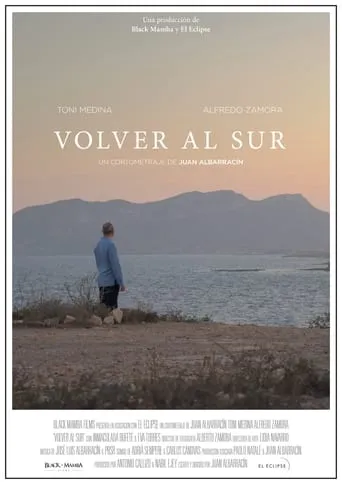 Volver al sur movie poster - Entertainment content