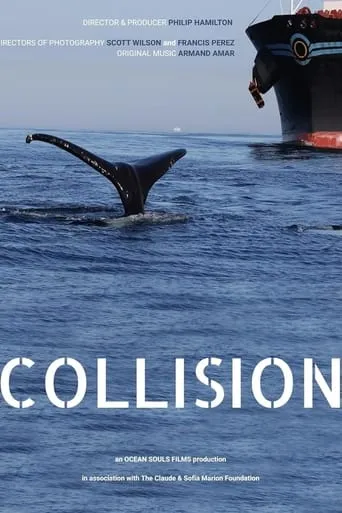 Collision movie poster - Rated 8/10