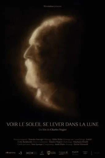 Voir le soleil se lever dans la lune movie poster - Entertainment content