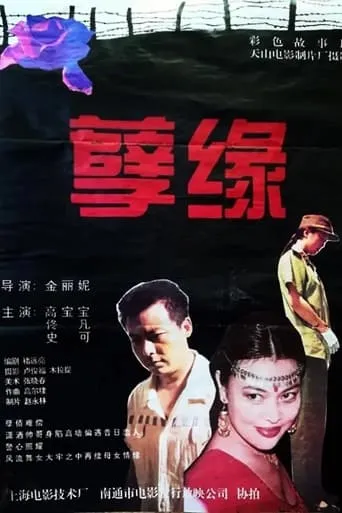 孽缘 movie poster - Entertainment content