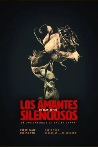 The Silent Lovers movie poster - Entertainment content