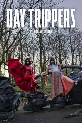Day Trippers movie poster - Entertainment content