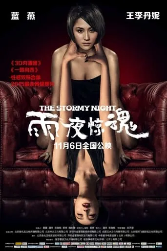 The Stormy Night movie poster - Entertainment content
